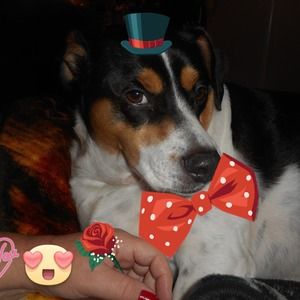 Meet your Posher, Regina